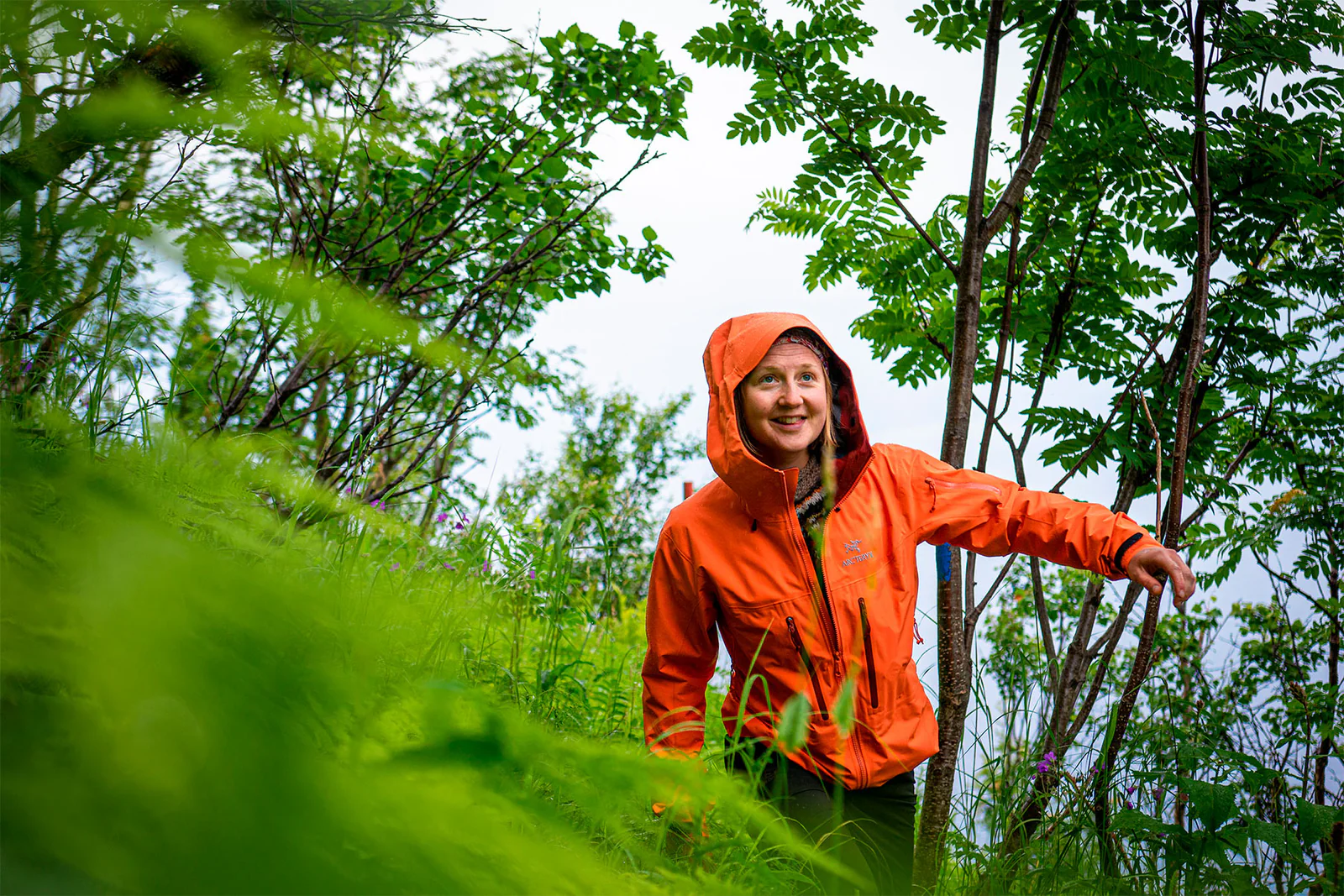 Halty Kauppa -Halty Kauppa